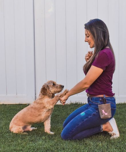 Our dog trainer, Pamela, is a Certified Dog Trainer training a dog to shake paw
